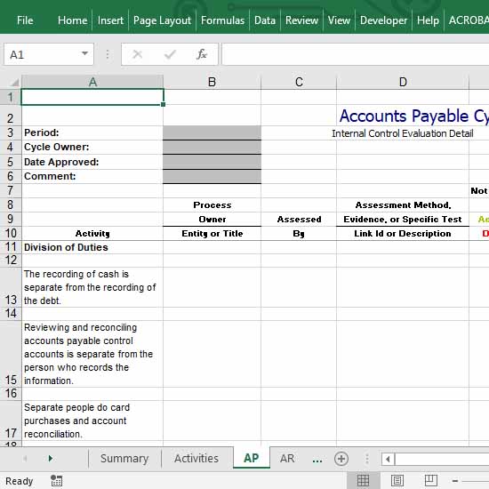 Internal Control of Accounts Payable in Excel.