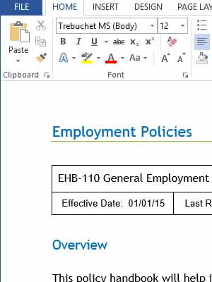 Employee Policy Template